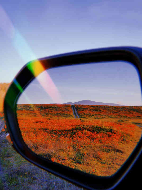 Close-up of a vehicle's rear-view door mirror - showing orange scrubland and the road behind to distant hills.